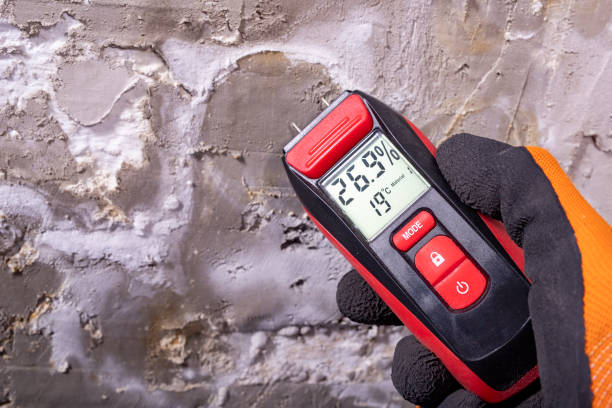 Best Black Mold Remediation in Pierceton, IN